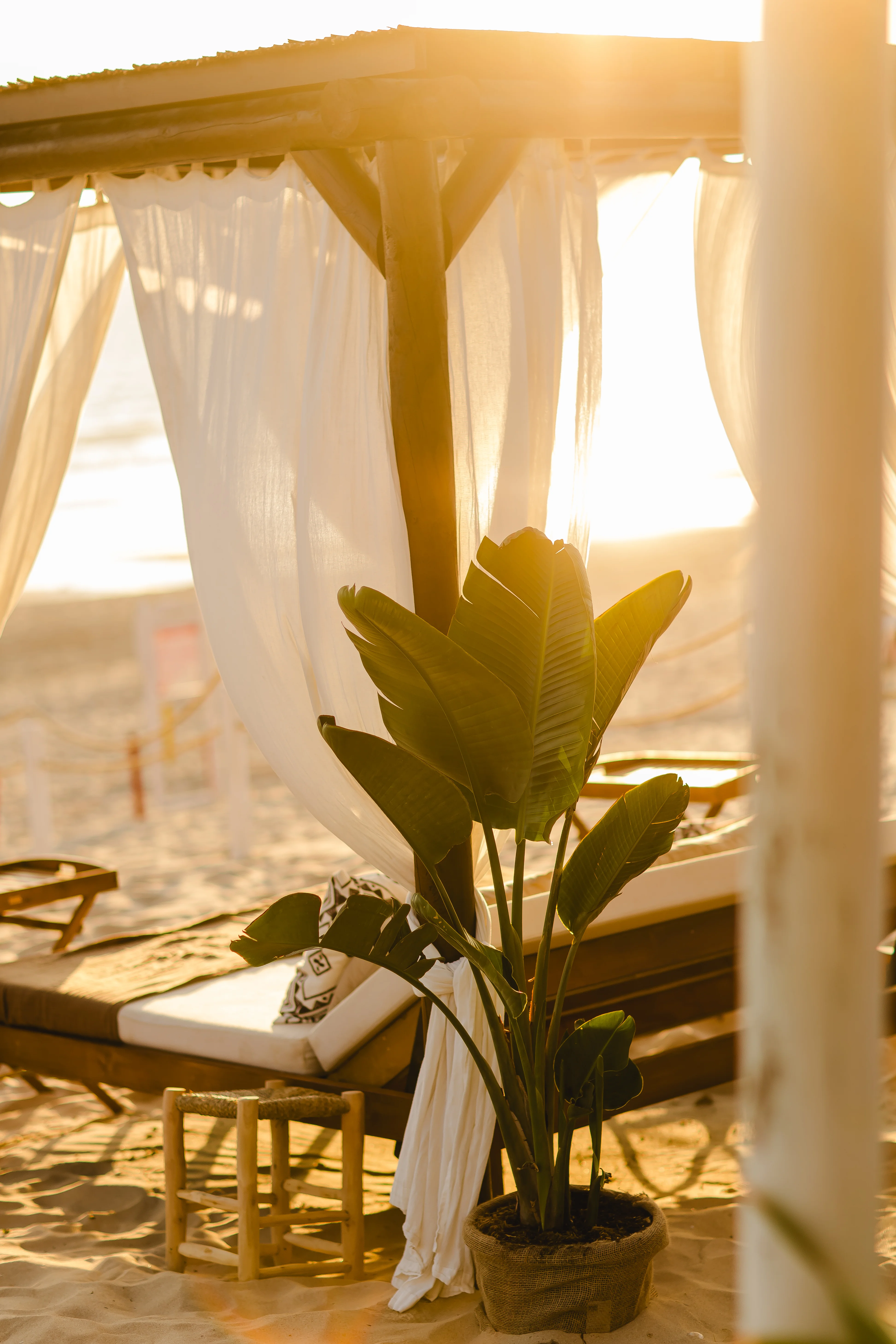 Camas Dossel na Praia