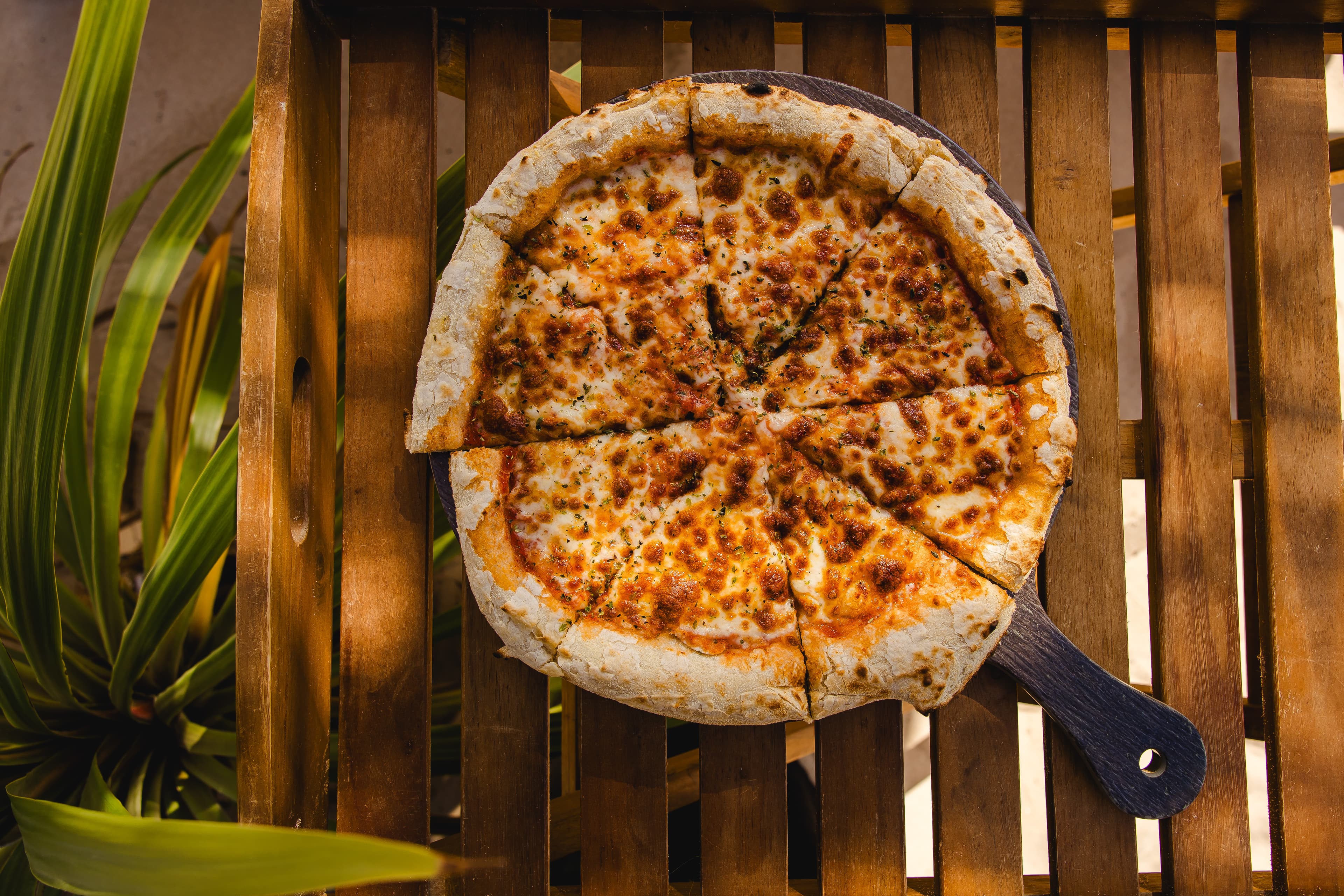 Pizza Calzone Momona